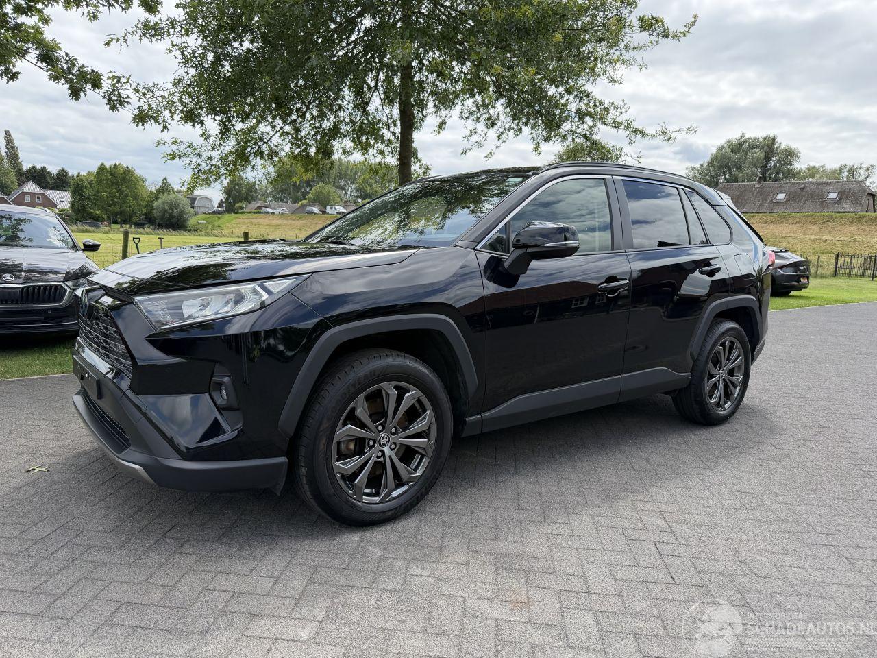 Toyota Rav-4 2.5 Hybrid / 131 KW / Panorama dak