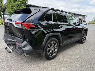 Toyota Rav-4 2.5 Hybrid / 131 KW / Panorama dak picture 4