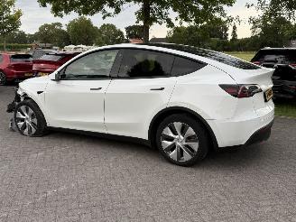 Tesla Model Y RWD 58 kWh / Panorama picture 8
