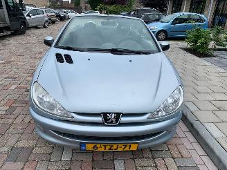 Avarii autoturisme Peugeot 206 1.6 16V CABRIO 2003/5