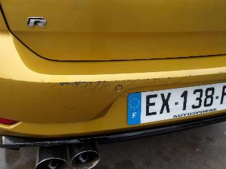 Volkswagen Golf R-TYPE picture 13