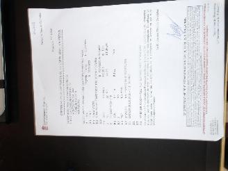 Volkswagen Golf GTE picture 23