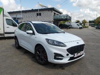Ford Kuga ST LINE picture 5