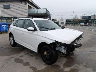 Unfallwagen Skoda Kamiq  2024/12