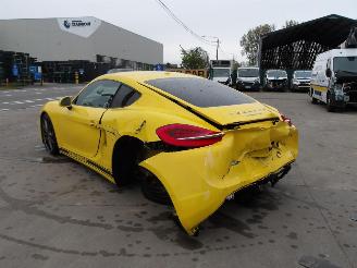 Porsche Cayman  picture 6