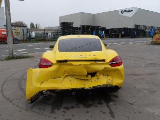 Porsche Cayman  picture 5
