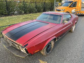 Ford Mustang MACH 1 picture 18