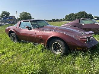 Chevrolet Corvette 5.7 V8 TARGA picture 16