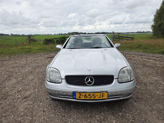 Mercedes SLK 200 CABRIOLET, AIRCO, LEER ENZ picture 7