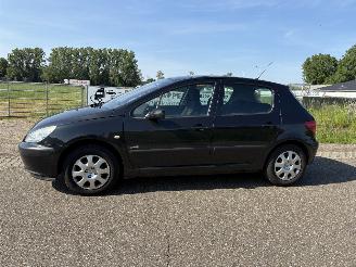 Peugeot 307 1.6-16V NAVTECH picture 3