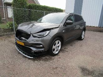 Schadeauto Opel Grandland X 1.2T Camera Navi Panodak 6-Bak 2019/11