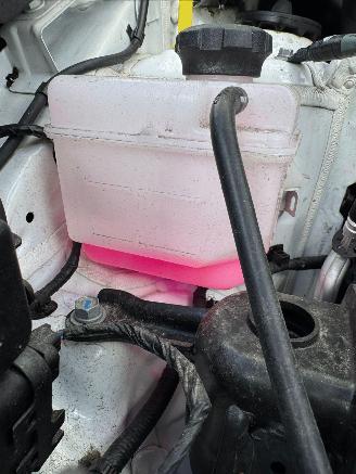 Kia Picanto 1.0 DPI DynamicLine picture 8