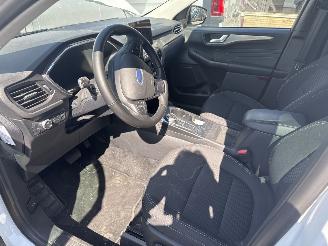 Ford Kuga 2.5 PHEV  Titanium picture 8