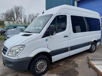 Schadeauto Mercedes Sprinter Sprinter 3,5t (906.73) Bus 311 CDI 16V 2010/4