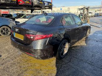 Alfa Romeo Giulia 2.2D 110KW Autom. Clima Navi Leer Super Led picture 3