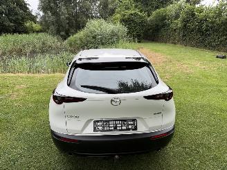 Mazda CX-30 2.5 Hybrid picture 34