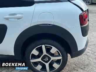 Citroën C4 cactus 1.2 PureTech Shine Virtual Navi Climate Cruise PDC picture 7