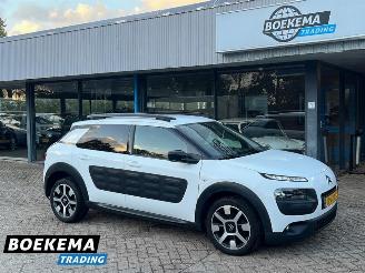 Citroën C4 cactus 1.2 PureTech Shine Virtual Navi Climate Cruise PDC 2016/5