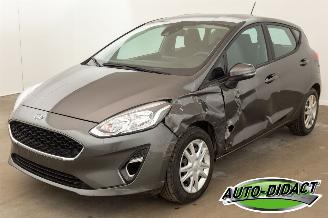škoda osobní automobily Ford Fiesta 1.0 Airco 2019/9