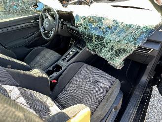 Volkswagen Golf 1.4 eHybrid GTE picture 16