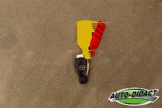 Mercedes E-klasse 250 CDI Automaat Leder Brandschade picture 27