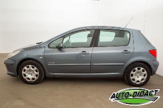 Peugeot 307 1.6-16V Clima Oxygo picture 38