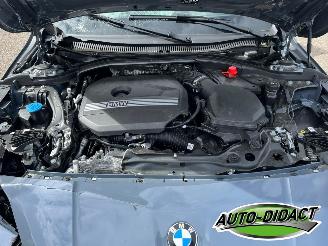 BMW 1-serie 116 Automaat 5493 km Digi Dash Camera picture 31