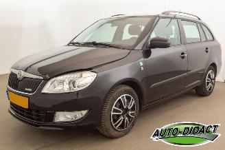 Avarii autoturisme Skoda Fabia 1.2 TDI Greenline Airco 2011/6