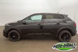 Citroën C4 cactus 1.6 Clima Feel picture 36