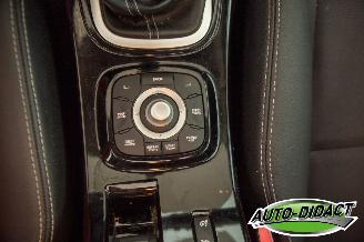 Renault Mégane 1.4 TCe Open Pano Clima Bose picture 11