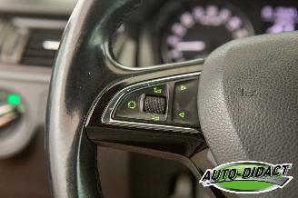 Skoda Rapid 1.6 TDI 77 kW Clima Navi Ambition picture 14