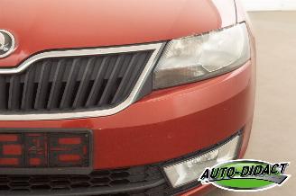 Skoda Rapid 1.6 TDI 77 kW Clima Navi Ambition picture 35