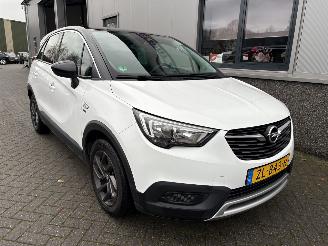 Opel Crossland X 1.2 120 Jaar Edition picture 29