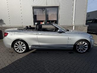BMW 2-serie 230i Executive Cabrio picture 25