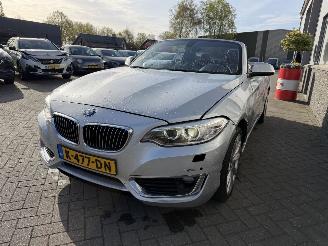 BMW 2-serie 230i Executive Cabrio picture 4