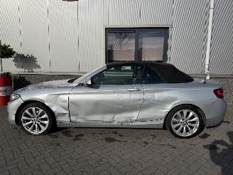 BMW 2-serie 230i Executive Cabrio picture 9