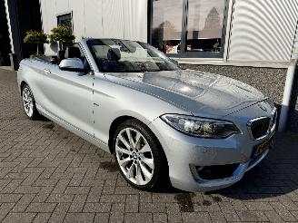 škoda osobní automobily BMW 2-serie 230i Executive Cabrio 2017/6