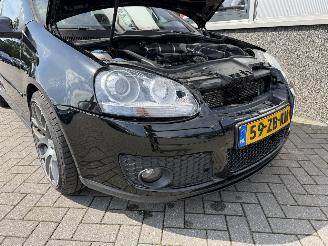 Volkswagen Golf 2.0 TSFI GTI 60 picture 17