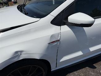 Volkswagen Polo 1.8 TSI GTI picture 13