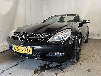 Schadeauto Mercedes SLK SLK (R171) Cabrio 3.5 350 V6 24V (M272.963) [200kW]  (06-2004/02-2011)= 2005/8