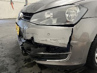 Volkswagen Golf Golf VII Variant (AUVV) Combi 1.2 TSI BlueMotion 16V (CJZA) [77kW]  (0=
4-2013/12-2020) picture 14