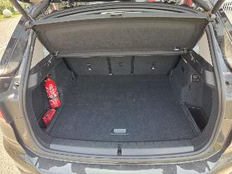 BMW X1 25e Xdrive  Plug-in hybride picture 24