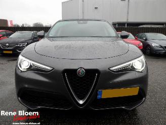 Alfa Romeo Stelvio 2.0 T AWD First Edition 280pk picture 6