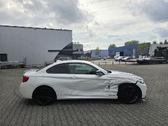 BMW 2-serie 218i COUPE /  M- PERFORMANCE picture 10