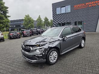 Skoda Kamiq AUTOMAAT / PANO / NAVI / CAMERA / STOELVERW picture 3