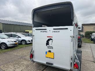 Cheval Liberte  2 paards picture 5