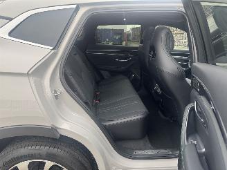 BYD Seal U  picture 29