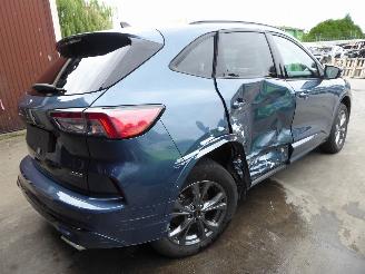 Ford Kuga ST Line X plug-in Hybrid picture 4