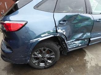 Ford Kuga ST Line X plug-in Hybrid picture 5