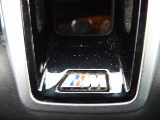 BMW X1 25 e xDrive M Sport picture 25